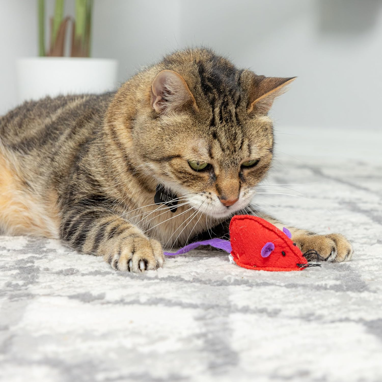 Spot Felt Mice Cat Toy with Catnip Assorted, 1ea/6 in, 6 pk