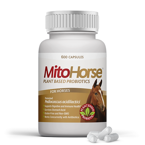 MitoHorse™, Probiotics for Horses, 600 capsules/bottle