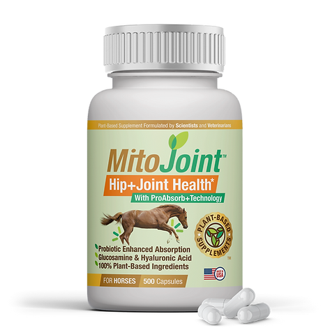 MitoJoint™, Hip and Joint Supplement for Horses, 500 capsules/bottle