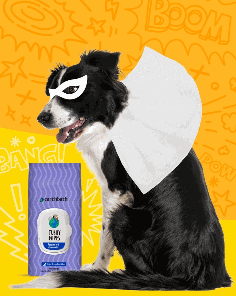 earthbath, Rosemary & Chamomile Tushy Wipes, 100 ct