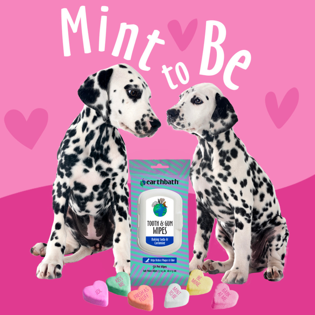 earthbath Tooth & Gum Wipes - Mint Dog Teeth Cleaning Wipes, No Brush Pet Dental Finger Swab for Dog and Cat Teeth Cleaning, Made in USA - Baking Soda & Cornmint, 50 Count