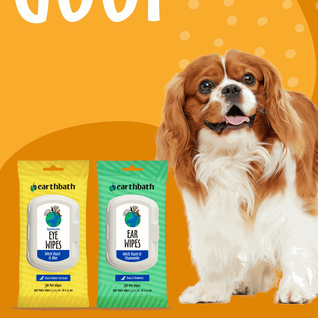earthbath Ear Wipes Witch Hazel & Chamomile 30 Wipes