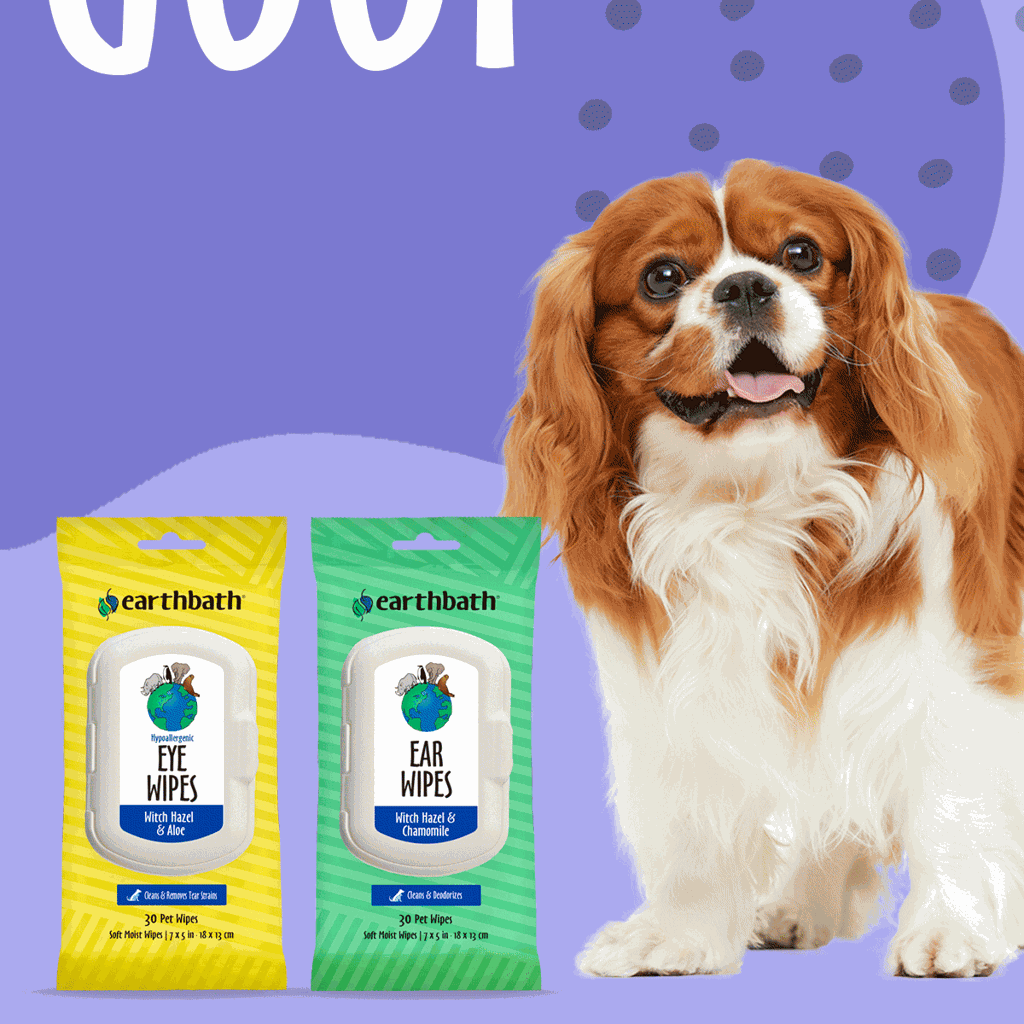 earthbath Ear Wipes Witch Hazel & Chamomile 30 Wipes