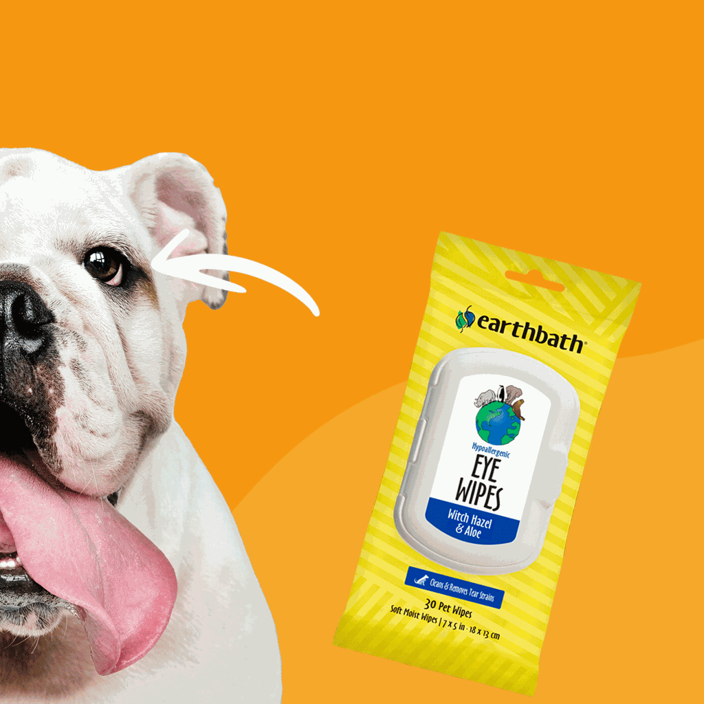 earthbath Witch Hazel & Aloe Pet Eye Wipes, 30 Count