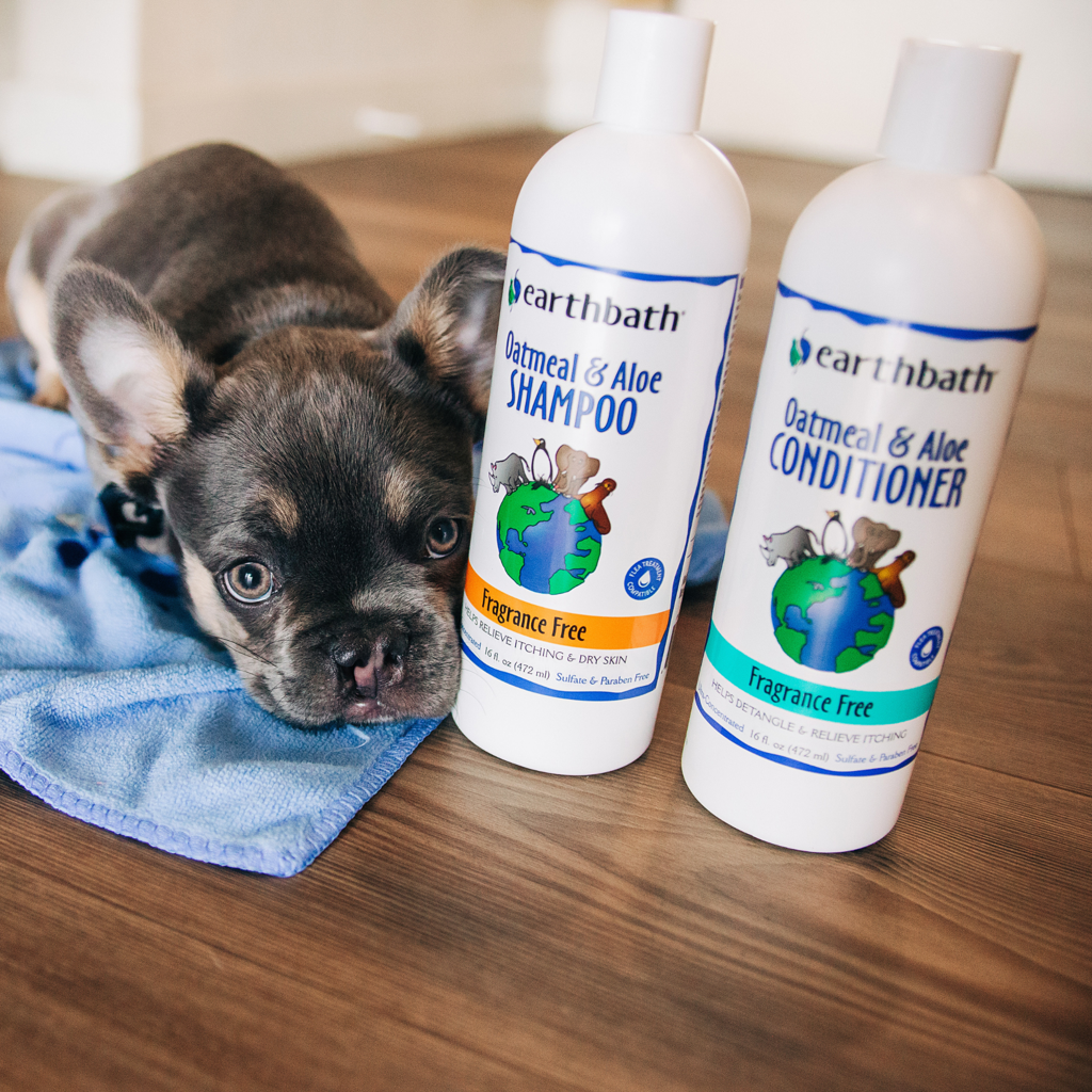 earthbath, Oatmeal & Aloe Dog Shampoo