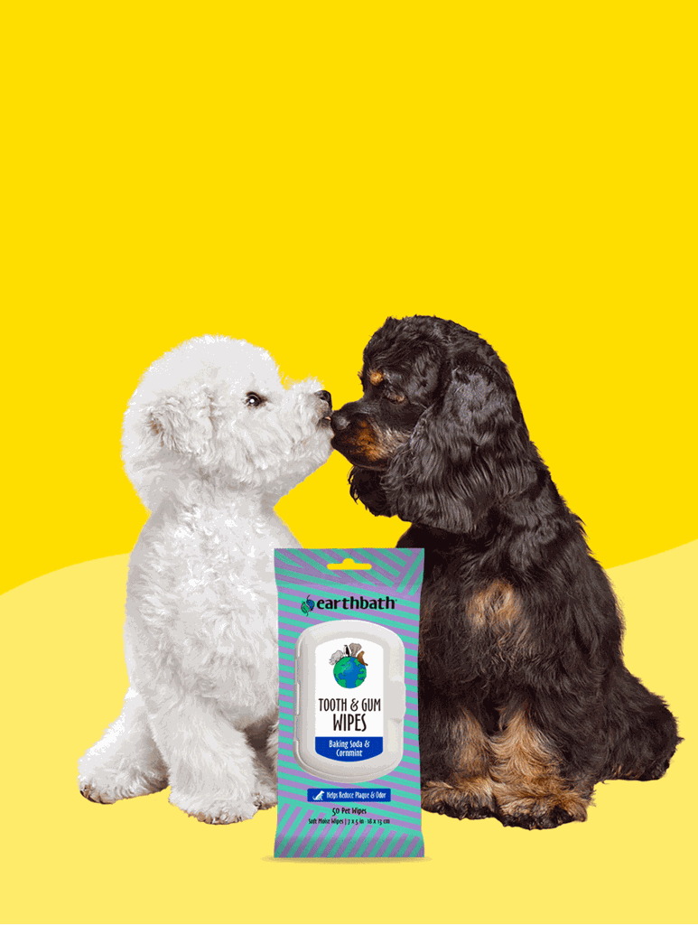 earthbath Tooth & Gum Wipes - Mint Dog Teeth Cleaning Wipes, No Brush Pet Dental Finger Swab for Dog and Cat Teeth Cleaning, Made in USA - Baking Soda & Cornmint, 50 Count