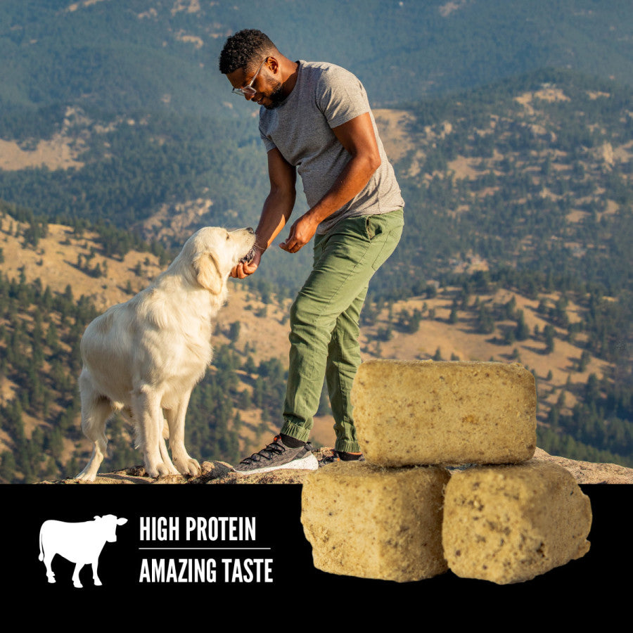 Orijen Freeze-Dried Dog Treats Ranch-Raised Beef, 1ea/3.25 oz