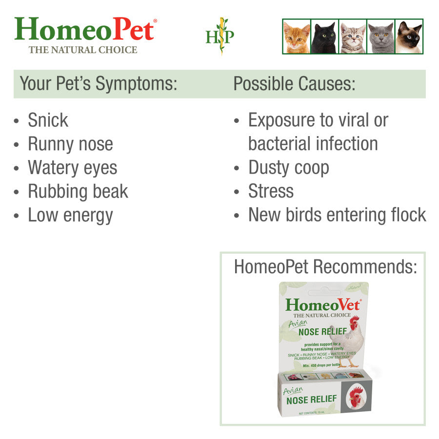 HomeoPet Avian Nose Relief Supplement