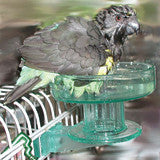 Lixit Quick Lock Bird Bath Green, 1ea/One Size