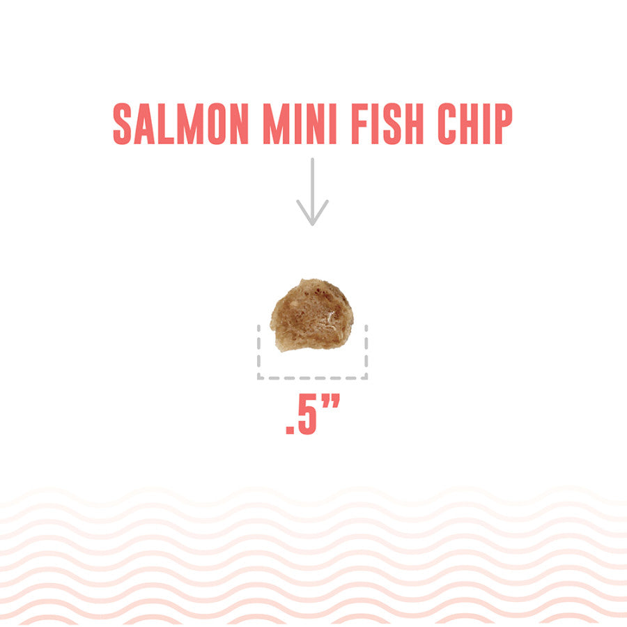 Icelandic+ Salmon Chips Dog Treat 1ea/Mini, 9.0 oz
