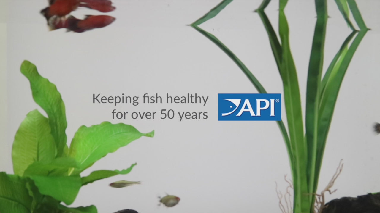 API Freshwater Master Test Kit (800 Tests) – Complete Aquarium Water Testing Kit for Accurate Fish Tank Monitoring