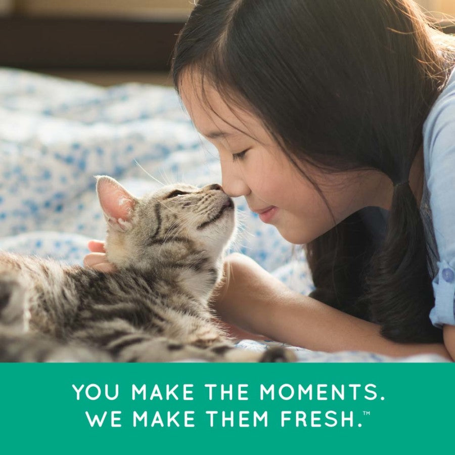TropiClean Fresh Breath Clean Teeth Oral Care Gel For Cats 1ea/2 Fl. oz
